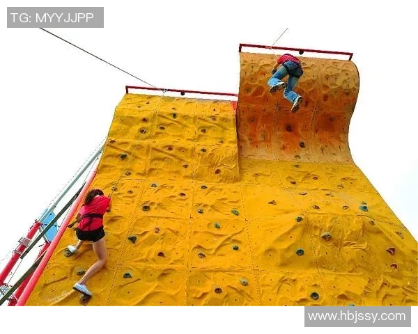 武汉攀岩队的快攻策略与深度解析攀岩运动的魅力与挑战